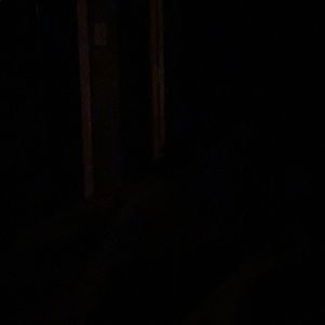 Meet your Posher, Devon